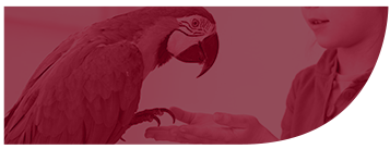 Usuarios adicionales